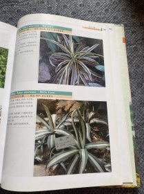 园林景观植物图鉴（下册）