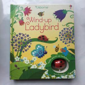 英文原版绘本 Wind-up Ladybird 七星瓢虫 发条玩具轨道纸板书 附玩具  轨道玩具书