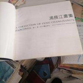 冯长江画集