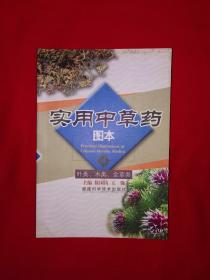 经典版本丨实用中草药图本 4 叶类 木类 全草类（全一册）