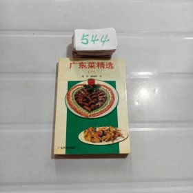 广东菜精选.一