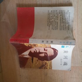 20-2【祖国丛书 黄河魂