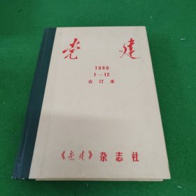 党建1989 1—12合订本