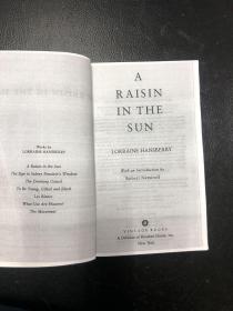 A Raisin in the Sun