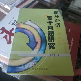 循环经济若干问题研究