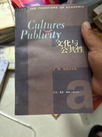 文化与公共性
