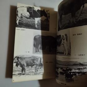 四川牦牛，作者签名赠本