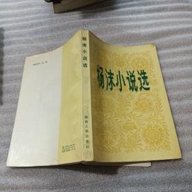 杨沫小说选