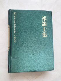 祁韵士集(精)/国家清史编纂委员会文献丛刊 封面有两处划痕书角有水印品相如图所示