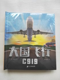 大国飞行 C919