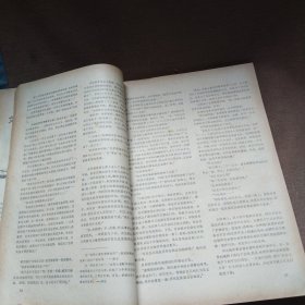 1984年出版《译林》第一期，外国文学从刊，该期刊久负盛名，多次被评为江苏省和华东地区最佳期刊，被列入全国百种重点社科期刊，并荣获首届国家期刊奖。