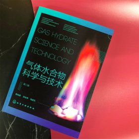 气体水合物科学与技术