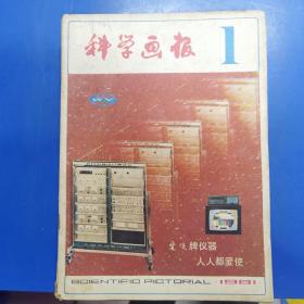 科学画报合订本   1981   1-12   170411