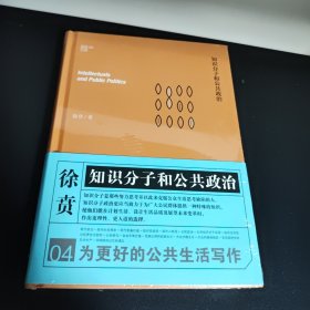 知识分子和公共政治