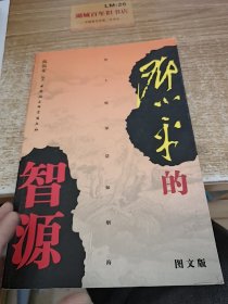 邓小平的智源（修订本）（图文版）