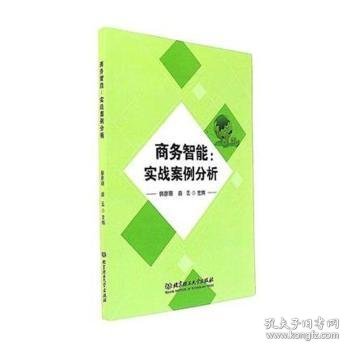 商务智能 : 实战案例分析