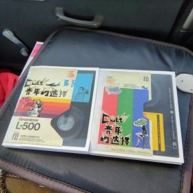 青年的选择 两本 漫画