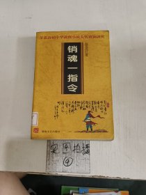 销魂一指令