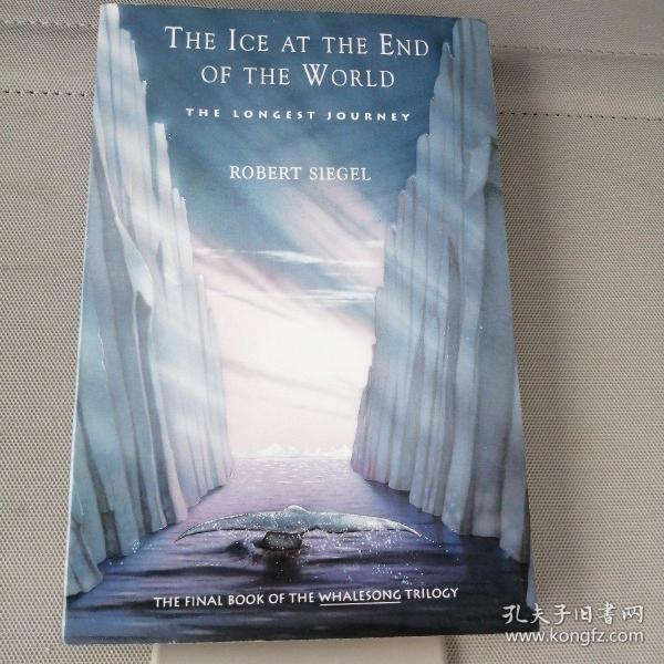 The Ice at the End  of the World