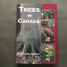 Trees in Canada Rh【精装16开】