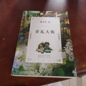 曹文轩文集：青瓦大街