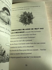 LE JOURNAL DE GURTY Mes bébés dinosaures 法文原版小说