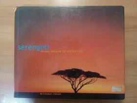 serengeti natural order on the african plain