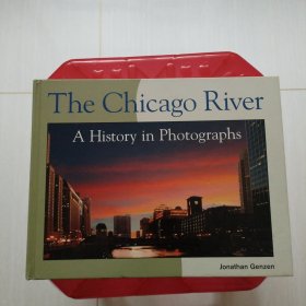 The Chicago River A History in PhotographS 芝加哥河摄影史（英文版）