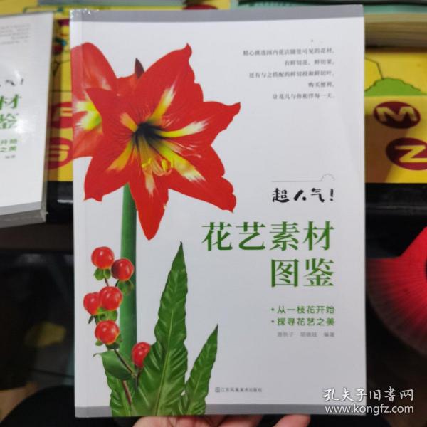 超人气 花艺素材图鉴 新手也能轻松成为花艺达人 零基础插花入门教程书籍花艺摆件搭配挑选