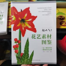 超人气 花艺素材图鉴 新手也能轻松成为花艺达人 零基础插花入门教程书籍花艺摆件搭配挑选