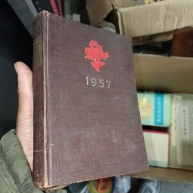 1957年美术日记
