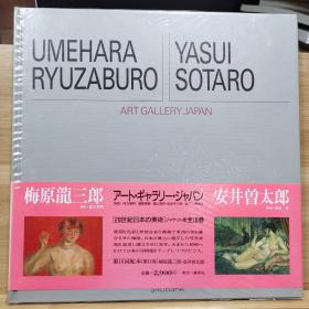 20世纪日本的美术  14   梅原龙三郎 /  安井曾太郎