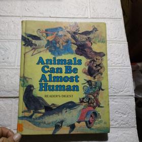 Animals Can Be Almost Human【精装 大16开 详情看图 品看图】