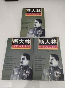 斯大林 上中下 胜利与悲剧
