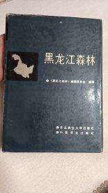 黑龙江森林