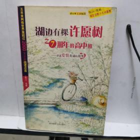 湖边有棵许愿树之7那年的高中班