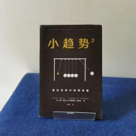 大混乱中的微变量小趋势2 美马克·佩恩美梅勒迪斯·法恩曼 著 曲磊 译