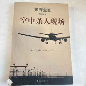 空中杀人现场