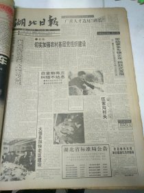 湖北日报1994年11月18日