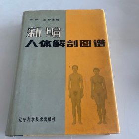 新编人体解剖图谱