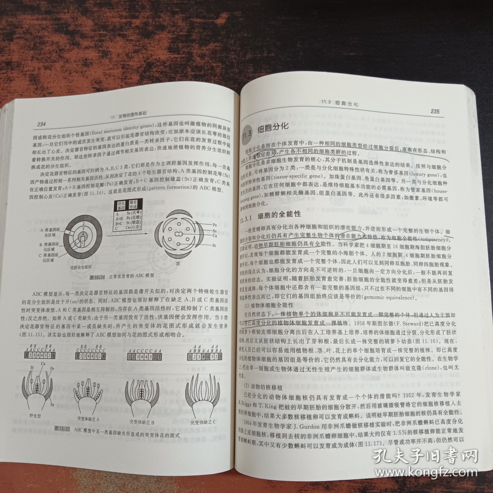 生命科学导论 （第2版）