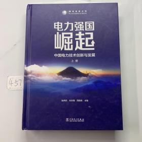 电力强国崛起——中国电力技术创新与发展 上册