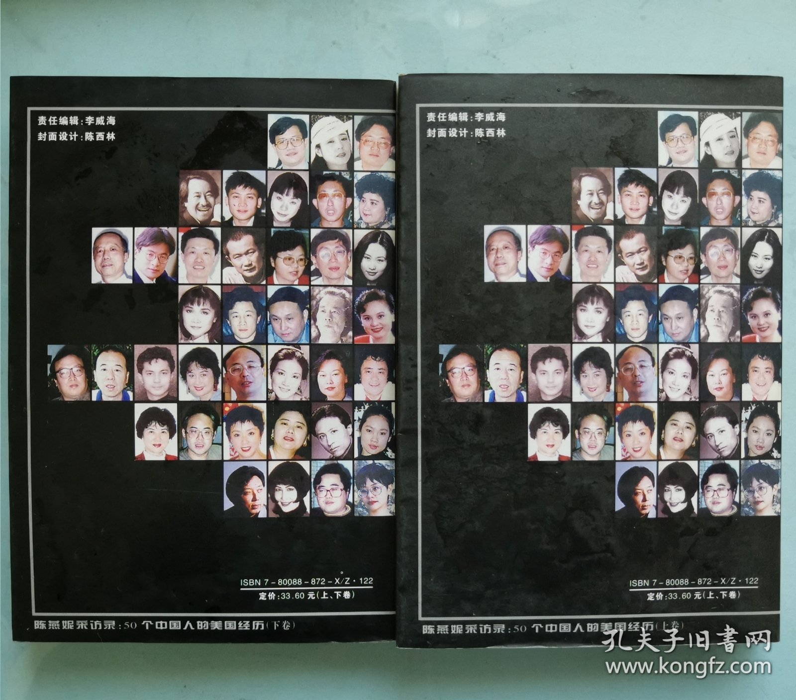 遭遇美国――陈燕妮采访录:50个中国人的美国经历（上、下卷） 全两册合售 正版