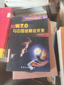 WTO 与中国金融业未来