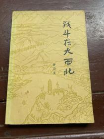 戰(zhàn)斗在大西北