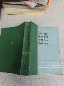 社会经济统计词典 作者颜日初教授签名赠送本