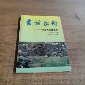 古村风韵――张谷英大屋漫步