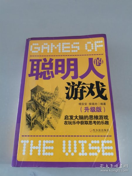 聪明人的游戏：启发大脑的思维游戏在玩乐中获取思考的乐趣