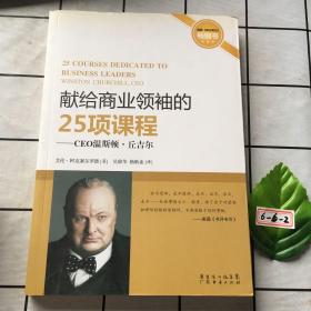 CEO温斯顿.丘吉尔：献给商业领袖的25项课程