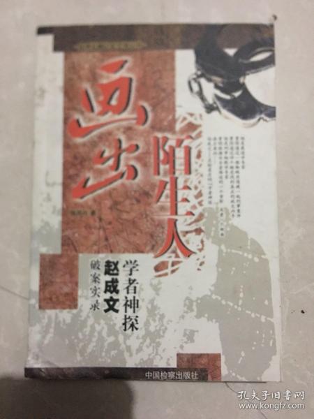 画出陌生人：学者神探赵成文破案实录